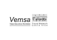 Vemsa